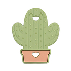 oLX (Bumkins) f^ł Cactus (JN^X) 3`