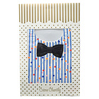 �N���[���V�����e�B �p�[�e�B�[�X�g���C�v �X�^�C �u���[ �悾�ꂩ�� �������X�^�C Creme Chantilly