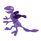 �{�[�l�����h �C�[�u�[�� ���[���A�[�g �p�[�v�� �h���S��