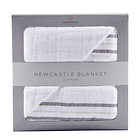 j[LbXNVbNX (NEWCASTLE CLASSICS) RbguPbg Teddy Bear & grey strip 